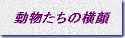 yokogao-title2.jpg (7830 oCg)