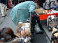 Dscf0040-3.jpg (147190 oCg)