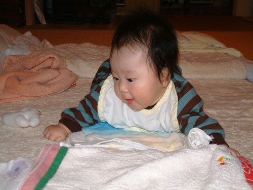 dscf2616.jpg (43923 oCg)