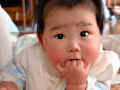 img20030317040919a.jpg (40352 oCg)