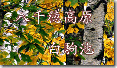 a-yatiho-title2.gif (31335 oCg)