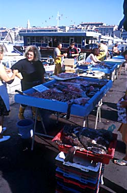 ���s�͂���ς�y�����ȁB