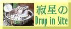 ␯Drop@@r