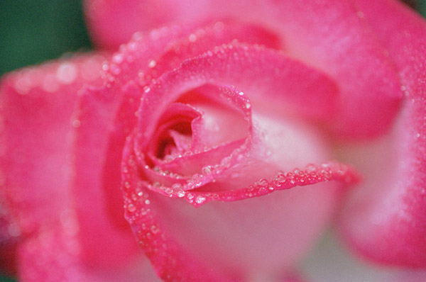 bara053 ����