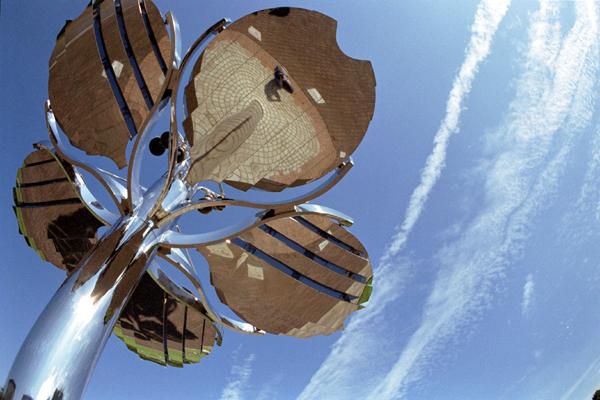 hana01  ����t�ł��