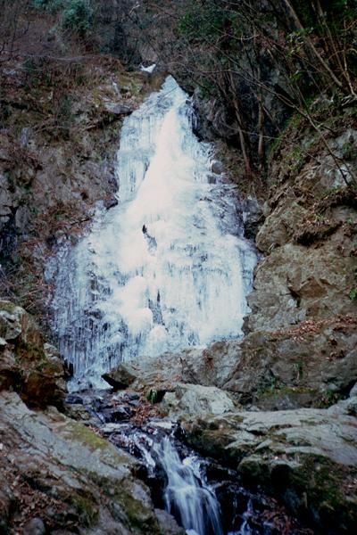 hossawa01 ����̑�