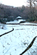 jingu002