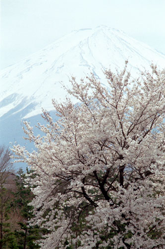 kwgch001  ������ƕx�m(6)