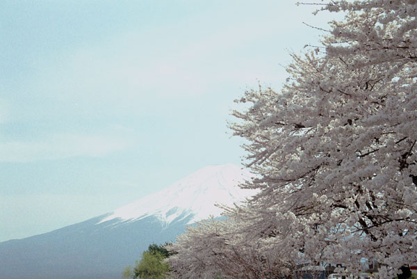 kwgch002  ������ƕx�m(7)