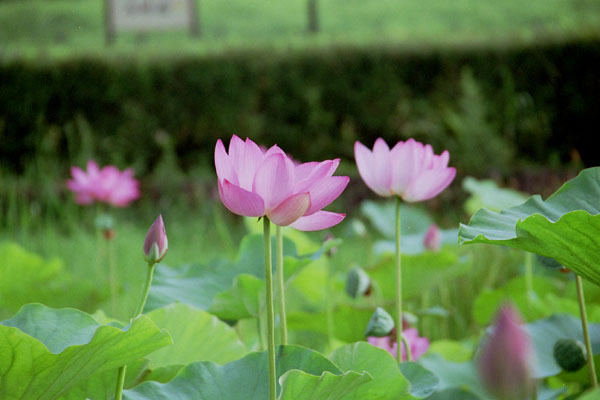 ����������001 