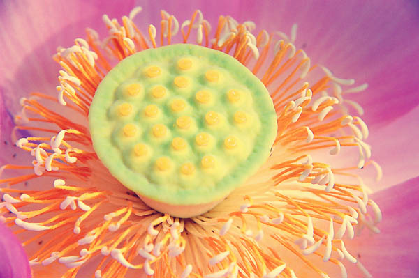 ����������002