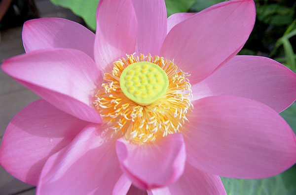 ����������003