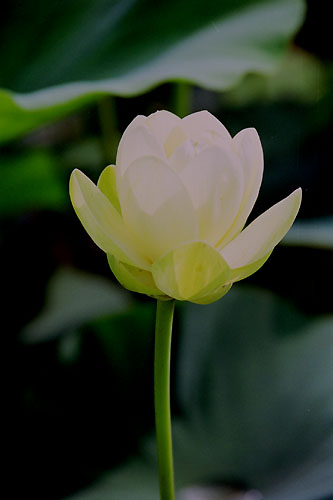 ����������004