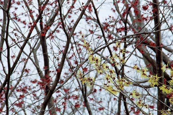 mansaku001.jpg�@�}���T�N�i�P�j