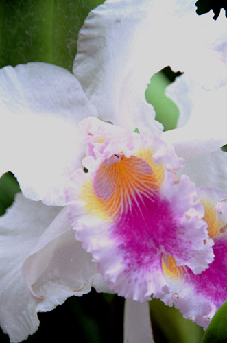 ran001�@�����i�P�j