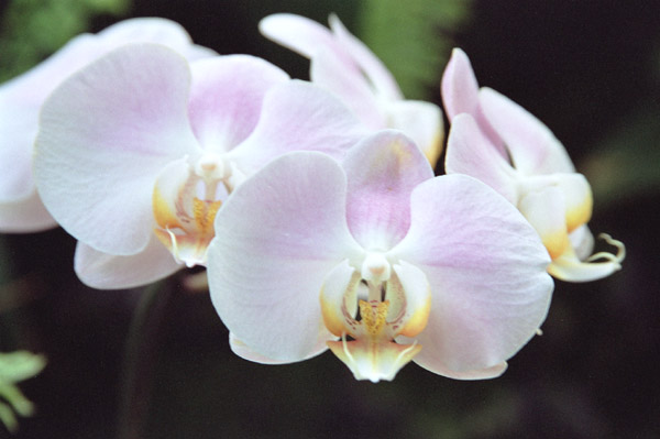 ran002�@�����i�Q�j