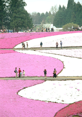 sbskr002�@ �ō��i2�j