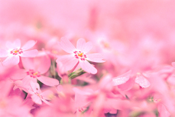 sbskr005 �ō��i�T�j