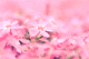sbskr005