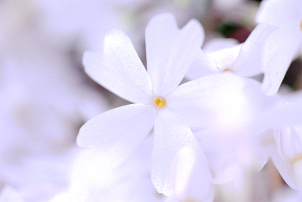 sbskr006�@ �ō��i�U�j