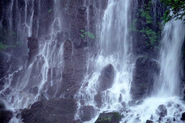 siraito01 �����̑�