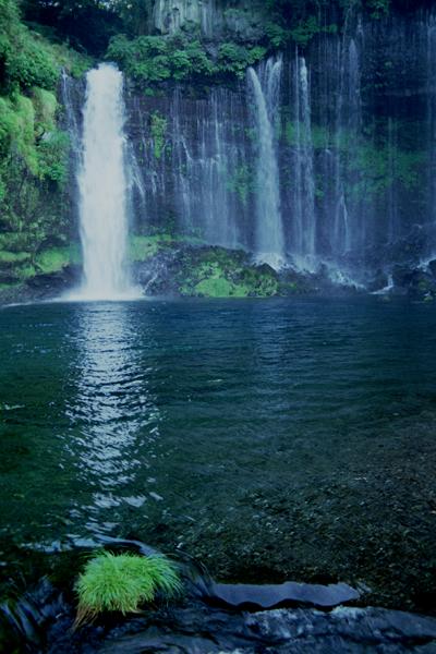 siraito02  �����̑�