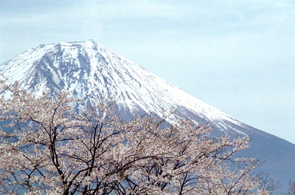 tnk006  ������ƕx�m(4)