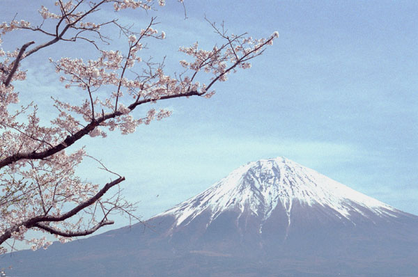 tnk007  ������ƕx�m(5)