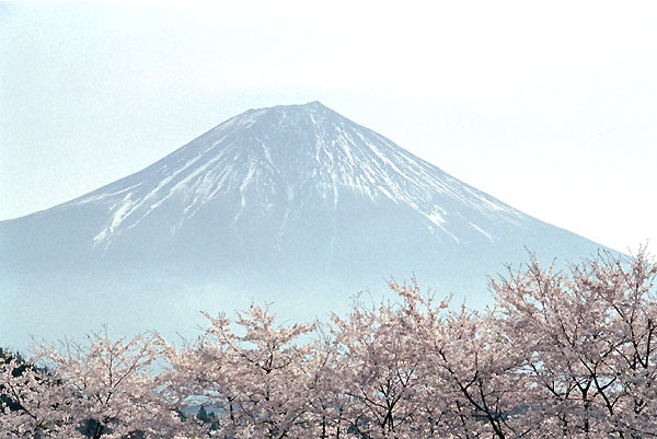 tnk01  ������ƕx�m�i�P�j