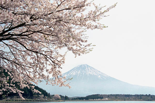 tnk02  ������ƕx�m�i�Q�j