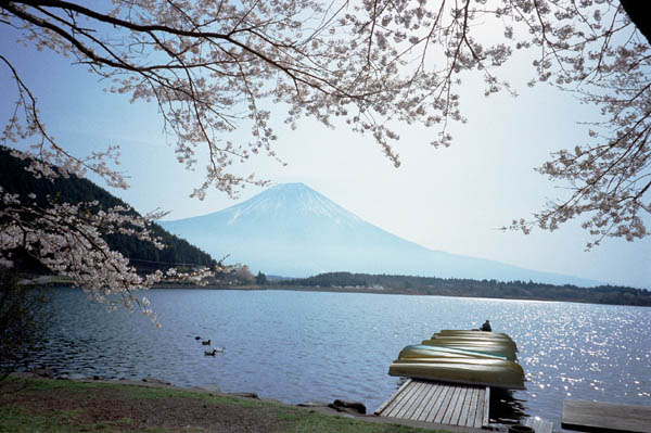 tnk03  ������ƕx�m�i�R�j