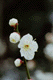 ume035.htm