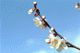 ume045