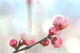 ume046