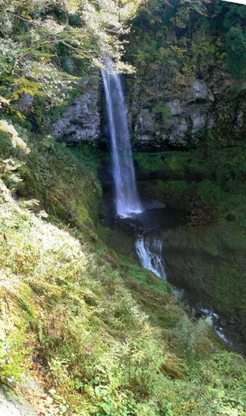 urami001 �����̑�