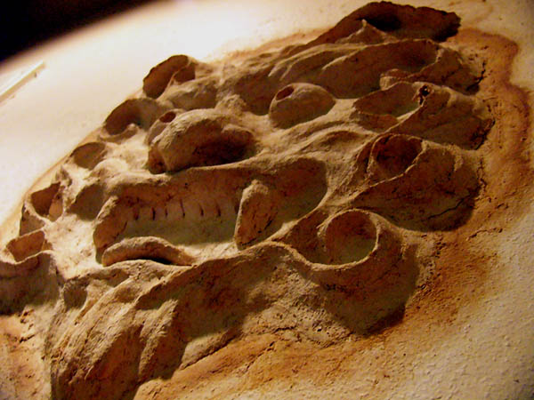 urizun02  �u���肸��(01)�v�@�V�[�T�[