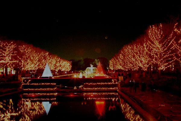 wpr200101 ���a�L�O�����@�v�����������o������������