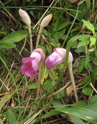 �I�I�i���o���M�Z��