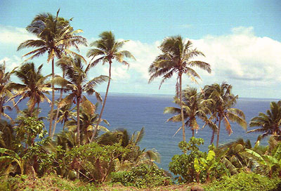 Top Image