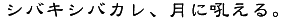 VoLVoJAəႦB
