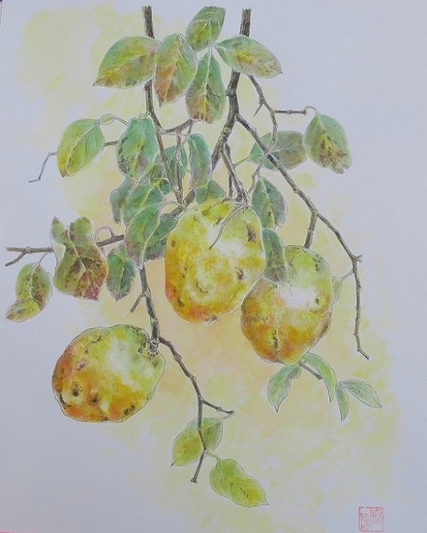掛軸 鈴木大麻 作 果物 水彩画 掛軸 鈴木大麻 作 果物 水彩画 掛軸