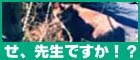 jR搶