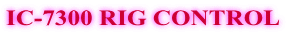 IC-7300 RIG CONTROL