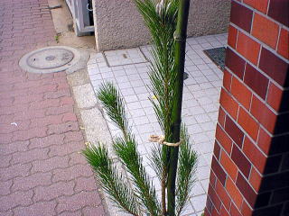 a ornament in Mejiro, Tokyo