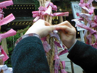 omikuji [a fortune paper]