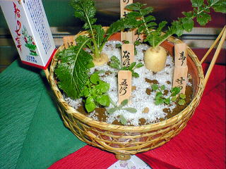 the seven flowers of spring in Japan.