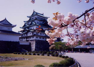 Nagoya Castle