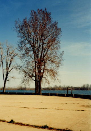 lake Erie