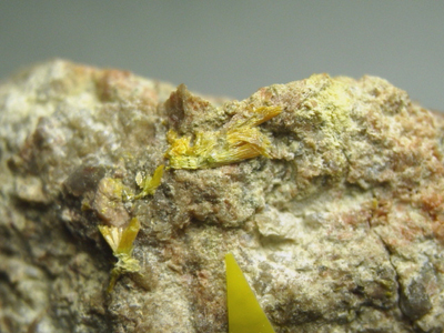 walpurgite
