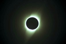 �F�����̑��z